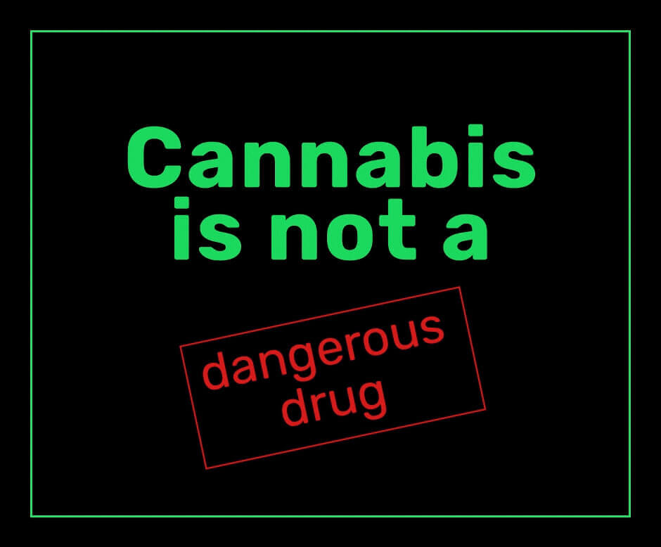 cannabis is not dangerous