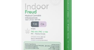 Indoor Freud