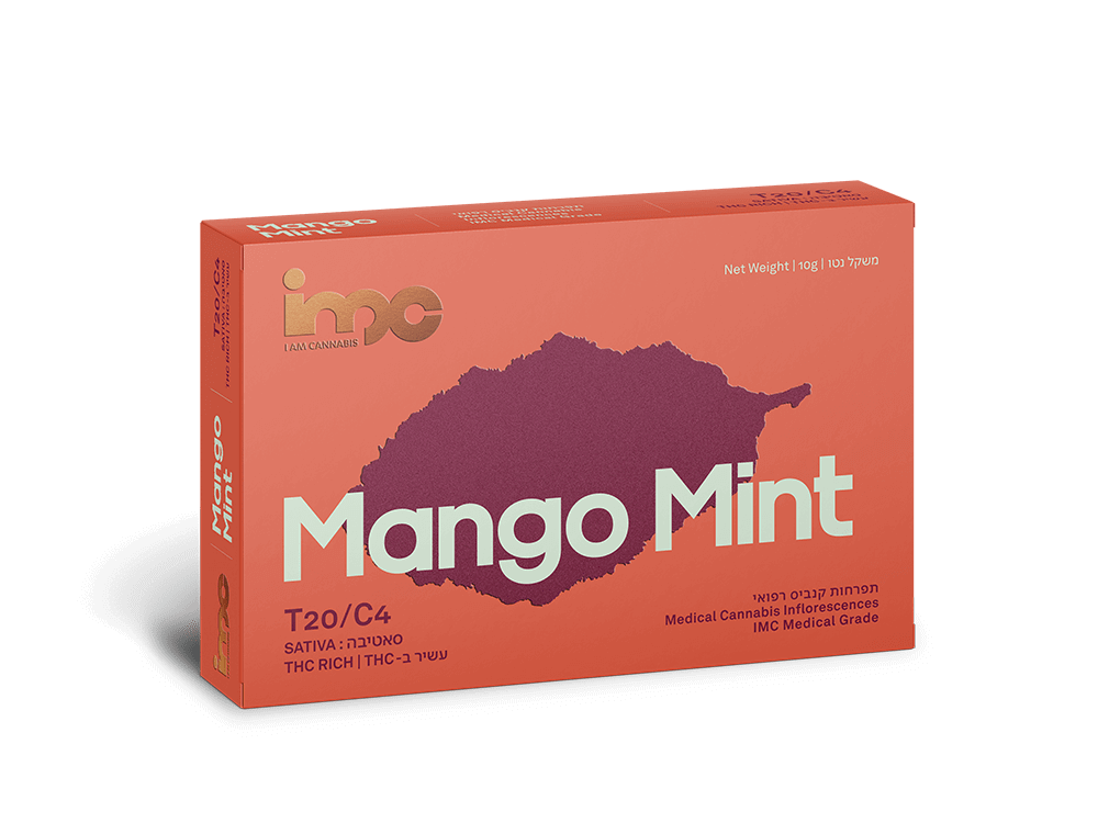 Mango Mint