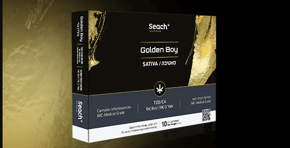 GOLDEN-BOY