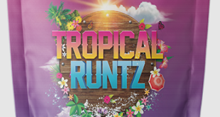 Tropical Runtz