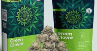 GREEN CLOVER