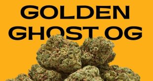 Golden Ghost OG