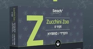 Zucchini Zoo